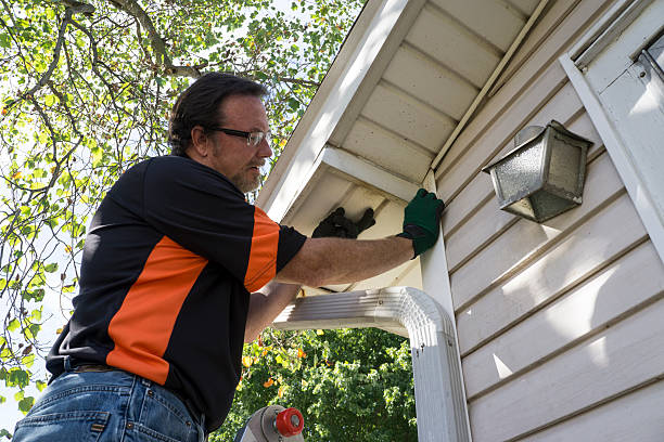 Best Hoarding Cleanup  in Ocean City, FL